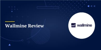 Wallmine Review