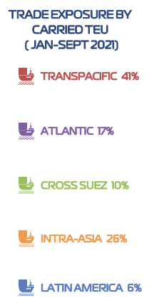 ZIM trade exposure by TEU