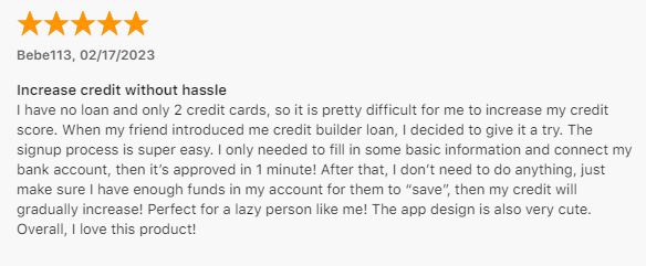 Cheese positive customer review