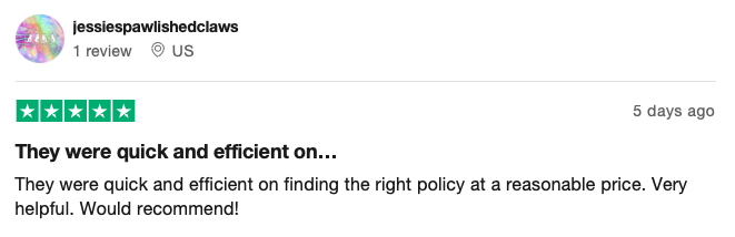Root Insurance positive review on TrustPilot