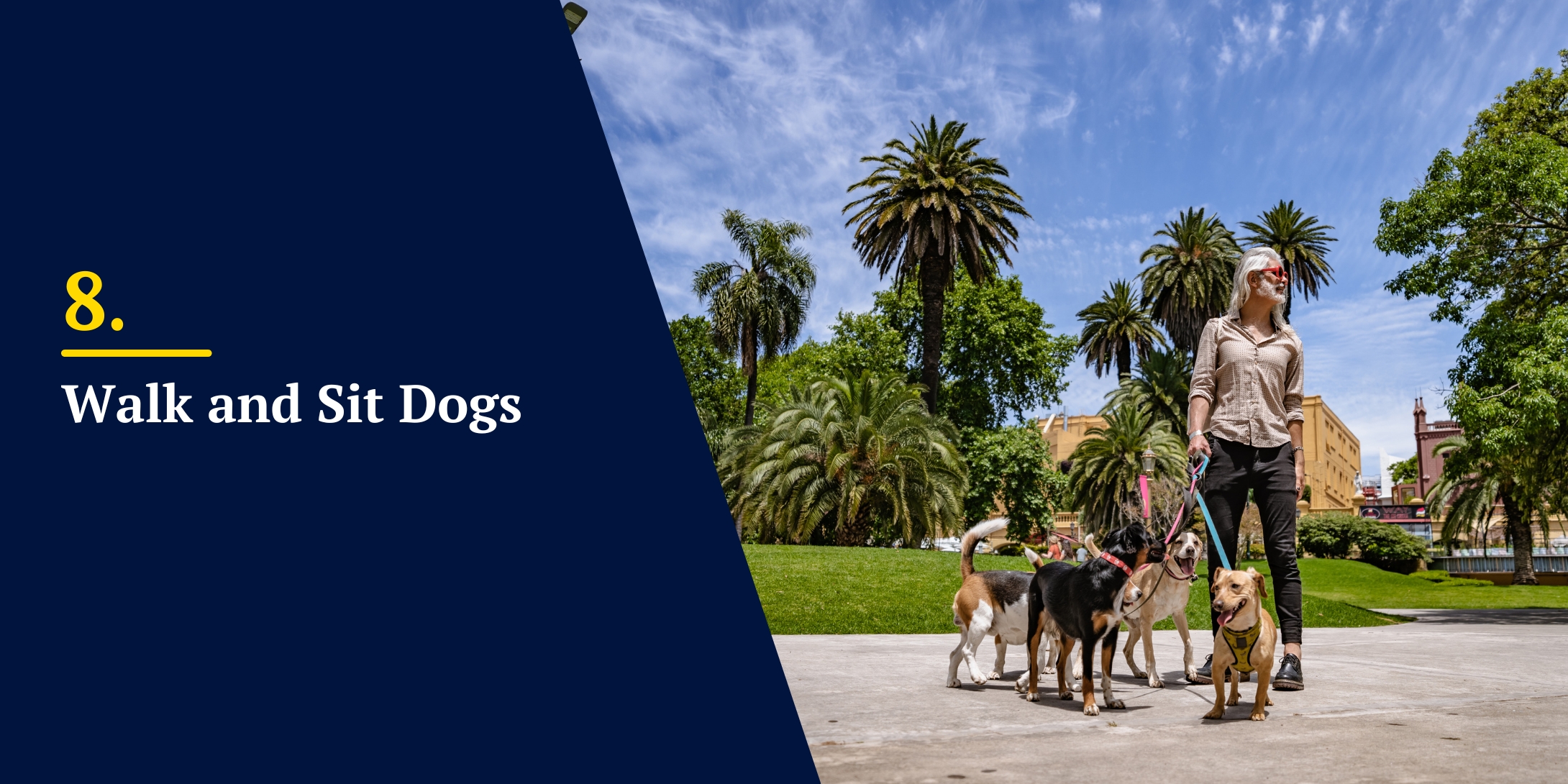Walk and Sit Dogs
