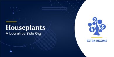 Houseplants
