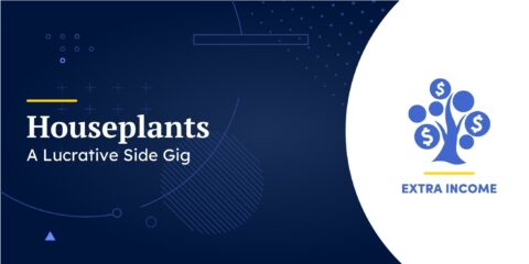 Houseplants