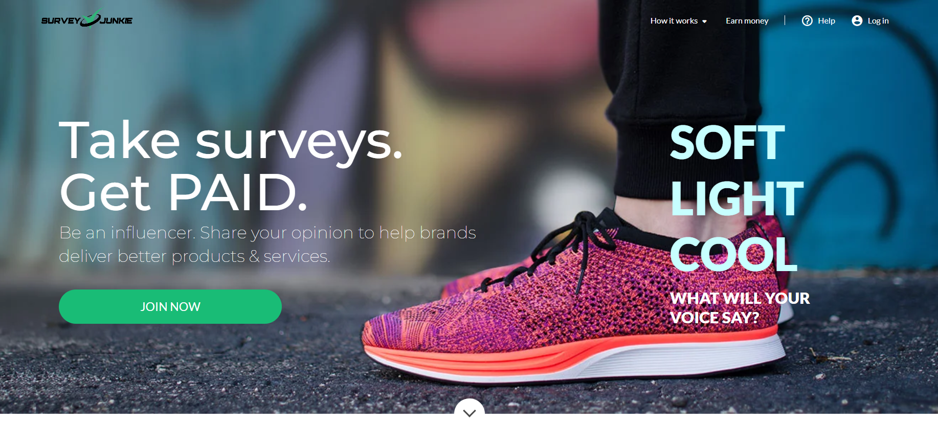 Money-Making Apps: SurveyJunkie - homepage